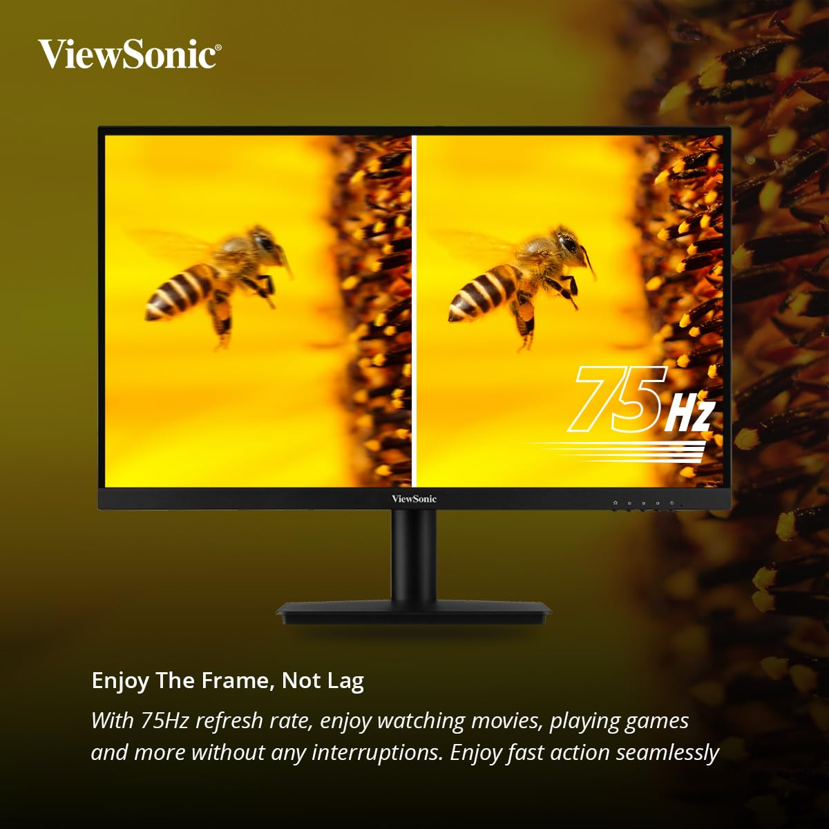 ViewSonic-24-inch-Full-HD-75Hz-Office-and-Home-Use-Monitor