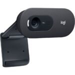Logitech C505 HD Webcam