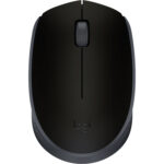 Logitech M170 Wireless Mouse-USB Receiver (Black)