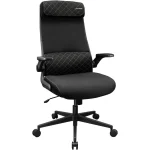 COUGAR STRYDER Gaming/Office Ergonomic Chair, Imitation Linen, Adjustable Armrests/Headrest, Class 4 Gas Lift Cylinder - Black