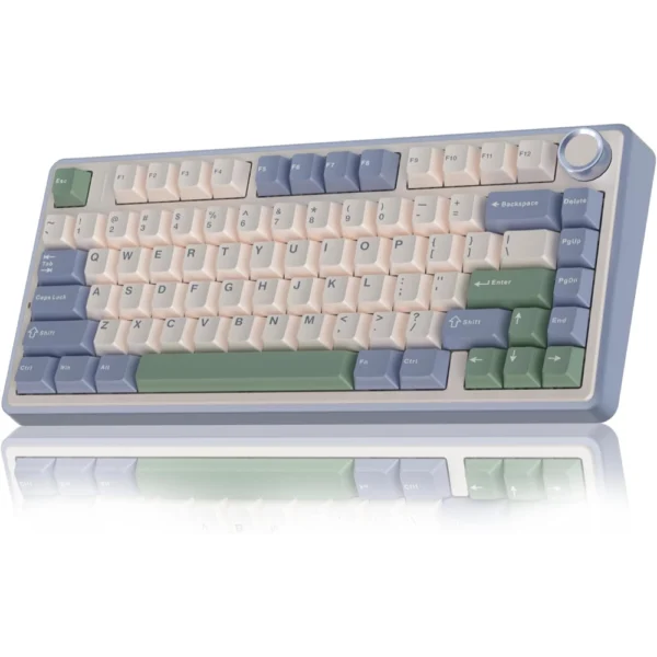 AULA F75 RGB Gasket Wireless Mechanical Keyboard, 75% Hot-Swappable with Five-Layer Padding & Multimedia Knob (Cedar Green, LEOBOG Reaper Switch)