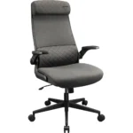 COUGAR STRYDER Gaming/Office Ergonomic Chair, Imitation Linen, Adjustable Armrests/Headrest, Class 4 Gas Lift Cylinder - Gray