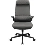 COUGAR STRYDER Gaming/Office Ergonomic Chair, Imitation Linen, Adjustable Armrests/Headrest, Class 4 Gas Lift Cylinder - Gray - Image 2