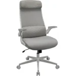 COUGAR STRYDER Gaming/Office Ergonomic Chair, Imitation Linen, Adjustable Armrests/Headrest, Class 4 Gas Lift Cylinder - White