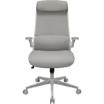 COUGAR STRYDER Gaming/Office Ergonomic Chair, Imitation Linen, Adjustable Armrests/Headrest, Class 4 Gas Lift Cylinder - White - Image 2