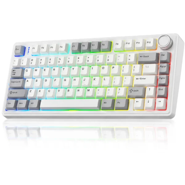 AULA F75 RGB Gasket Wireless Mechanical Keyboard, 75% Hot-Swappable with Five-Layer Padding & Multimedia Knob, Offline Exclusive Version (Retro White, Milk White Switch)