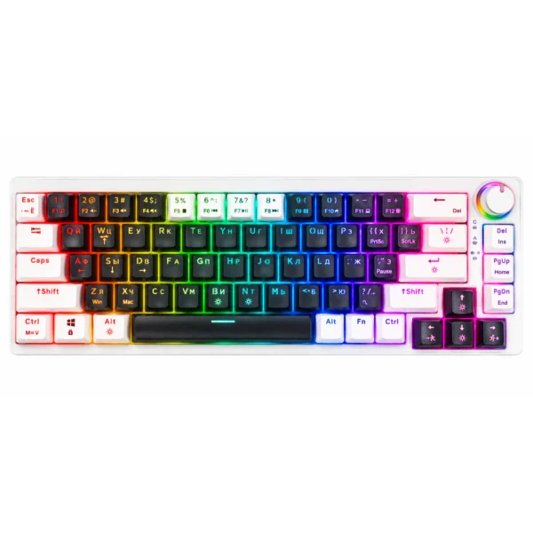 CyberLynx AG68 Mechanical Gaming Keyboard, 68-Key 65% Compact Layout, Hot-Swappable Switches, 12-Mode Rainbow Backlight, Anti-Ghosting, Double-Injection Keycaps, EN/RU Layout, Mute Switches - Deep Ash & White